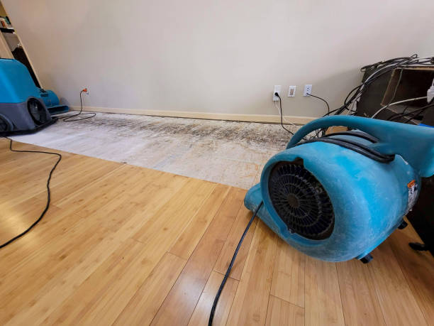 Professional Sewage Cleanup technician working in Enon, OH